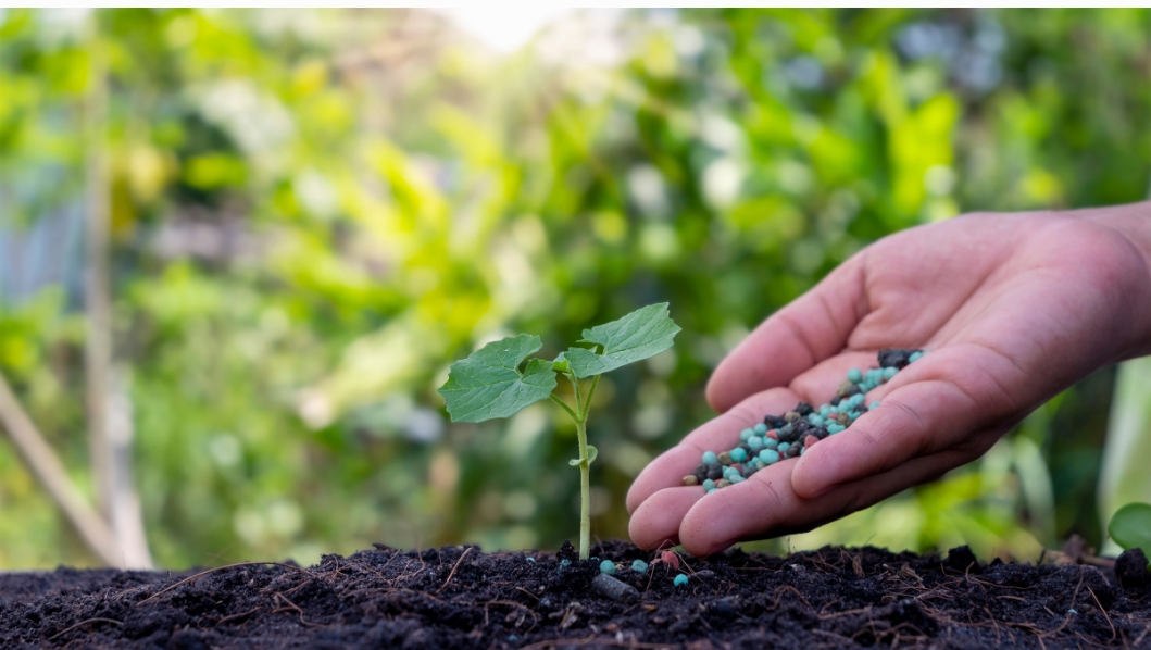 Origen de Compufuturo